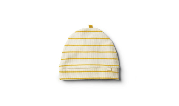 Organic jojoba stripe rib beanie Wilson & Frenchy