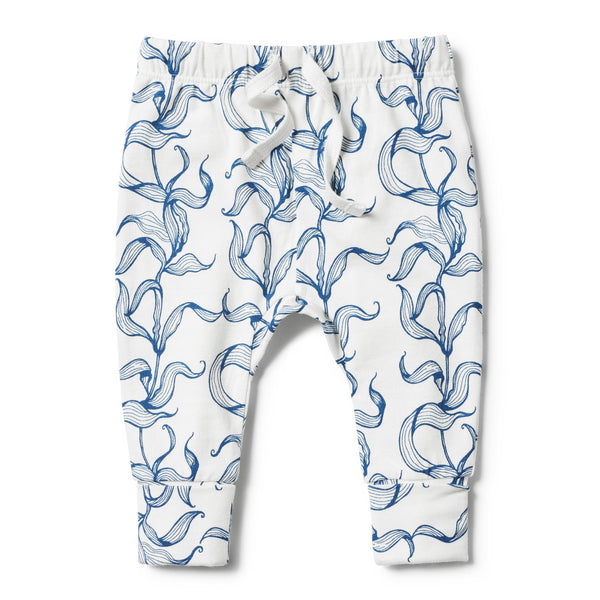 Organic sea grass legging Wilson & Frenchy