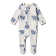 Organic zipsuit with feet little adventures Wilson & Frenchy